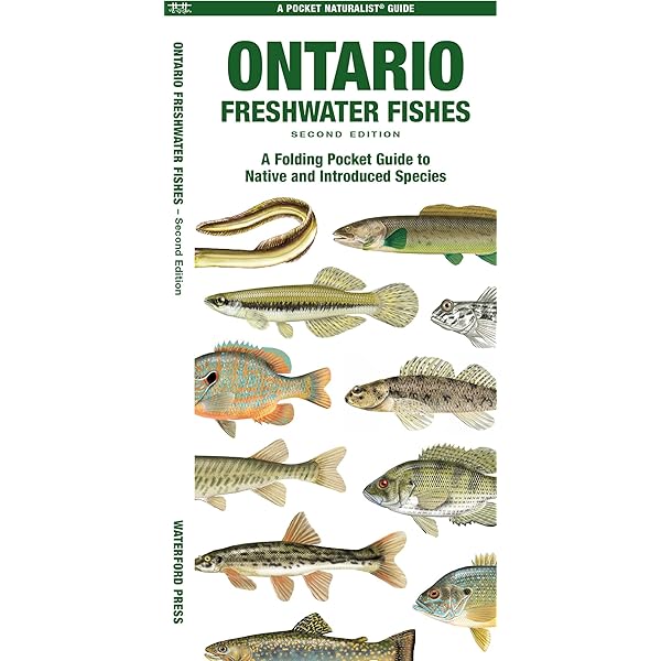 Ken Schultz's Field Guide to Freshwater Fish: Schultz, Ken