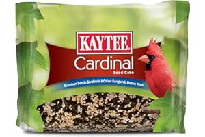 Kaytee Cardinal Seed Cake, Wild Bird Food, 1.85 Pounds