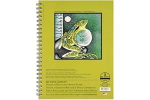 Bee Paper Recycled Sketch Pad, 9-Inch by 12-Inch