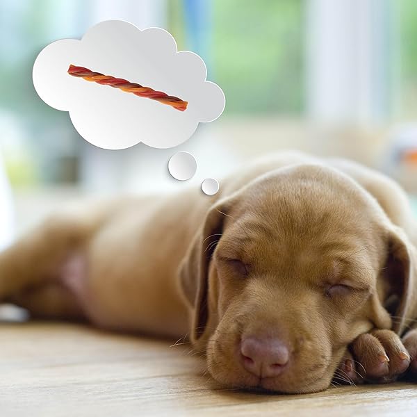 DREAMBONE TRIPLE FLAVOR TWISTIES, 25 COUNT, RAWHIDE-FREE DOG CHEWS MADE WITH REAL BEEF, PORK & CHICKEN, 7.05 OUNCE (PACK OF 1)