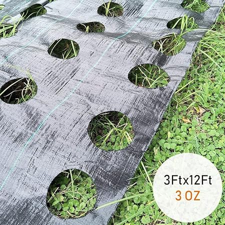 Garden Weed Barrier Landscape Fabric Planting Holes,3.3 Ft X 19.7 Ft Heavy-Duty Weed Block Gardening Mat Soil Erosion Control and UV Stabilized