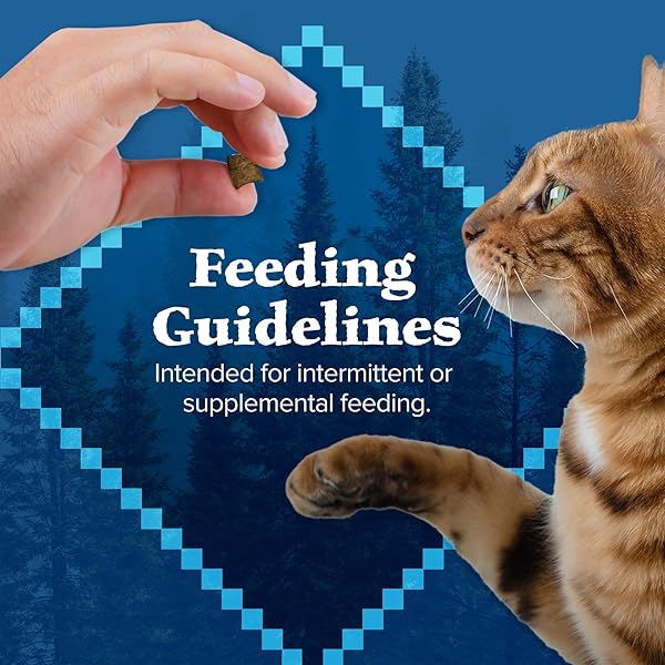 BLUE BUFFALO WILDERNESS SOFT CAT TREATS, MADE WITH NATURAL INGREDIENTS, CHICKEN & TROUT RECIPE, 2-OZ BAG