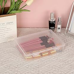BTSKY Clear Plastic Storage Box with Flap