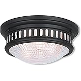 Livex 73052-07 Transitional Two Light Ceiling Mount from Berwick Collection in Bronze/Dark Finish