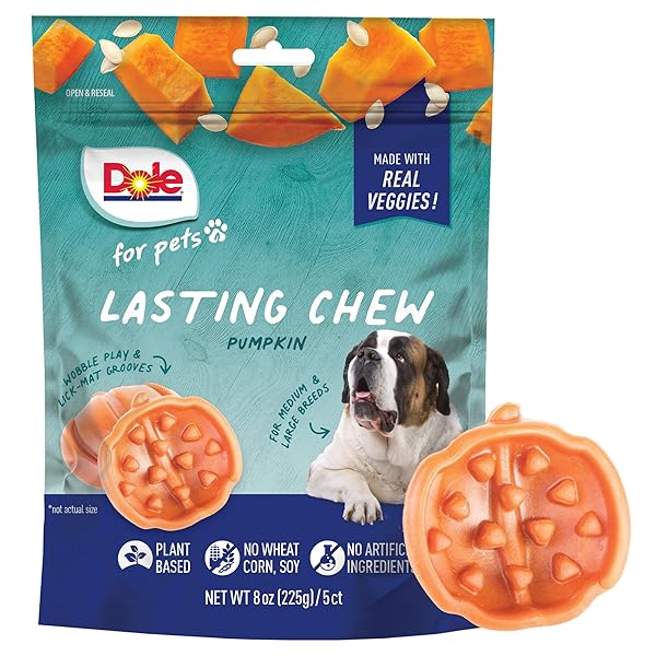DOLE FOR PETS FRESHLY FETCHED LASTING CHEW PUMPKIN...
