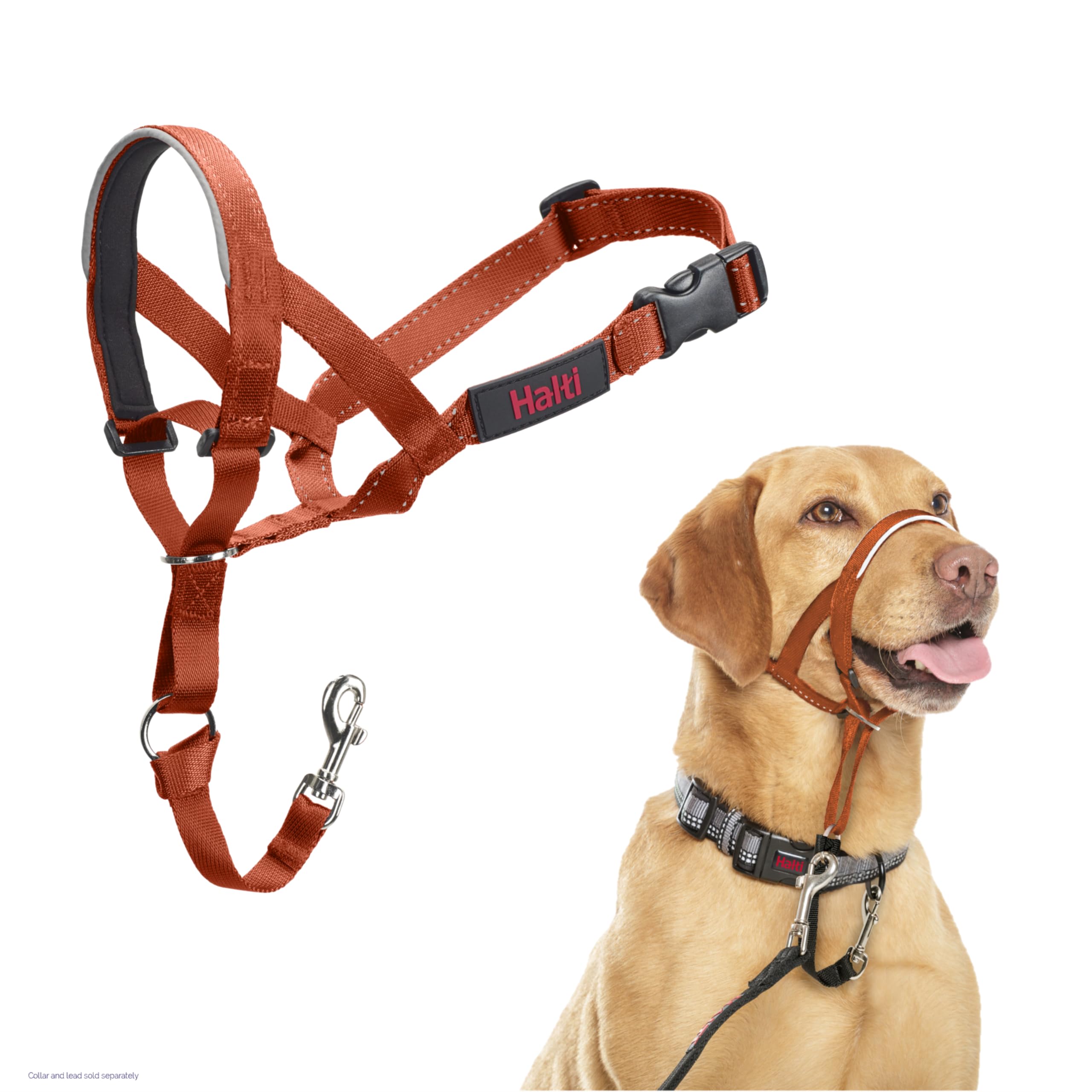 Halti Headcollar - Stop Your Dog Pulling on the Lead. Adjustable, Reflective and Lightweight, with Padded Nose Band. Dog Training Anti-Pull Collar for Medium Dogs (Size 3, Burnt Orange)