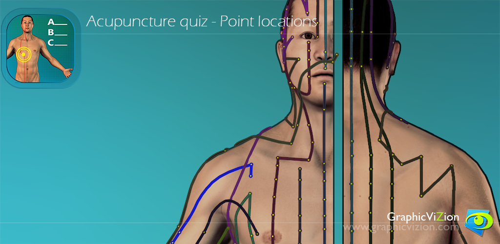 Acupuncture Quiz - Point Locations