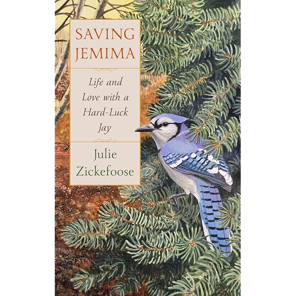 Letters from Eden: A Year at Home, in the Woods: Zickefoose, Julie 
