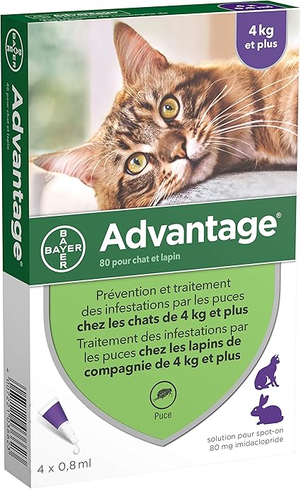 Advantage Chat Anti Puces Pour Chats 4kg Et Plus 4 Pipettes