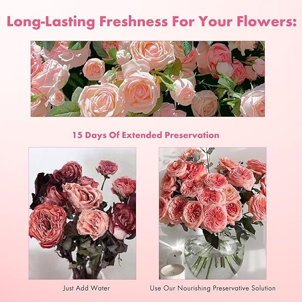500ML FLOWER FRESHENER- INDOOR AND OUTDOOR ALL PURPOSE BLOOM PLANT FOOD – SUITABLE FOR ALL TYPES OF FLOWERS AND PLANTS ROSES, LILIES, BELLFLOWERS, DAISIES ETC, USE IN GARDENS & HYDROPONIC SYSTEMS