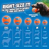 Chuckit! Sport 26 Ball Launcher Hands Free Fetch Dog Toy 66 cm view 6