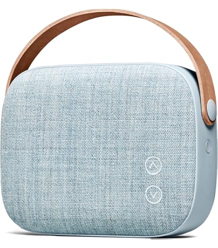 Amazon.com: Vifa Helsinki New Version- Portable Bluetooth Speaker