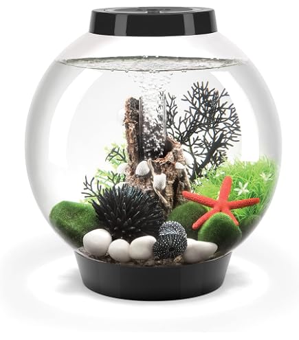 Amazon.com : BiOrb Life 45 Aquarium with MCR - 12 Gallon, Black