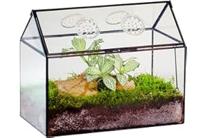 NCYP Glass Terrarium with Lid and Air Holes for Snails, Succulents Plants, Small Cactus - 10.2" x 5.9" x 8.2" House Shape Geometric Clear Box, Indoor Tabletop Decor Black (Terrarium Only)