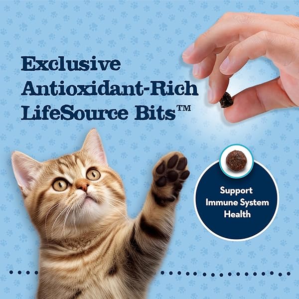BLUE BUFFALO BABY BLUE NATURAL GRAIN-FREE DRY FOOD FOR KITTENS, HEALTHY GROWTH FORMULA WITH DHA, HIGH-PROTEIN SAVORY CHICKEN RECIPE, 4.5-LB. BAG