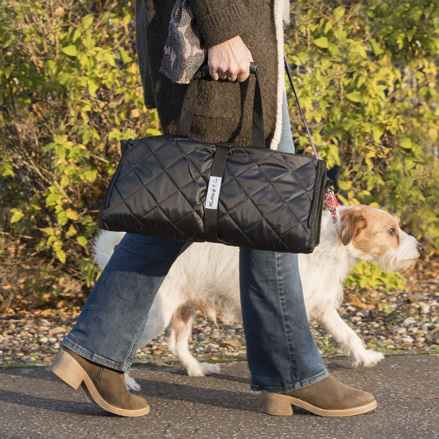 Coprisedile per auto per cani – Shop