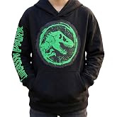 Jurassic Park Boys Hoodie, Dinosaur Graphic Pullover Sweatshirt