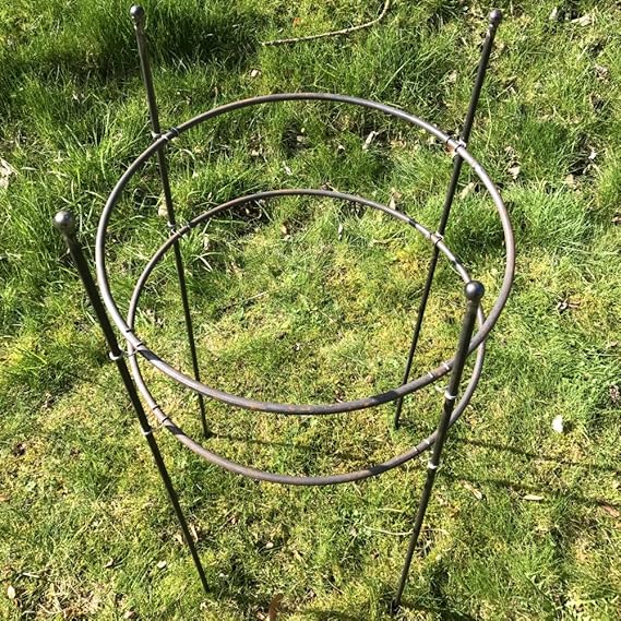 1000mm (40" inch) Deep Peony Herbaceous Garden 8mm Metal Steel Ring