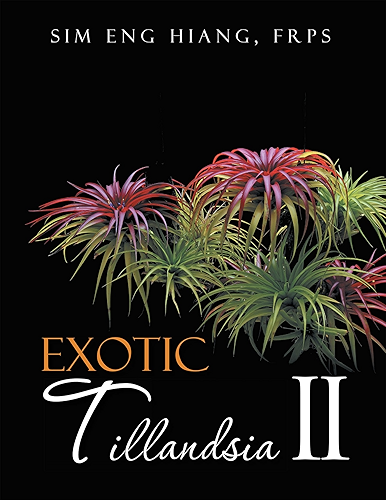 Download Exotic Tillandsia Ii (English Edition) PDF