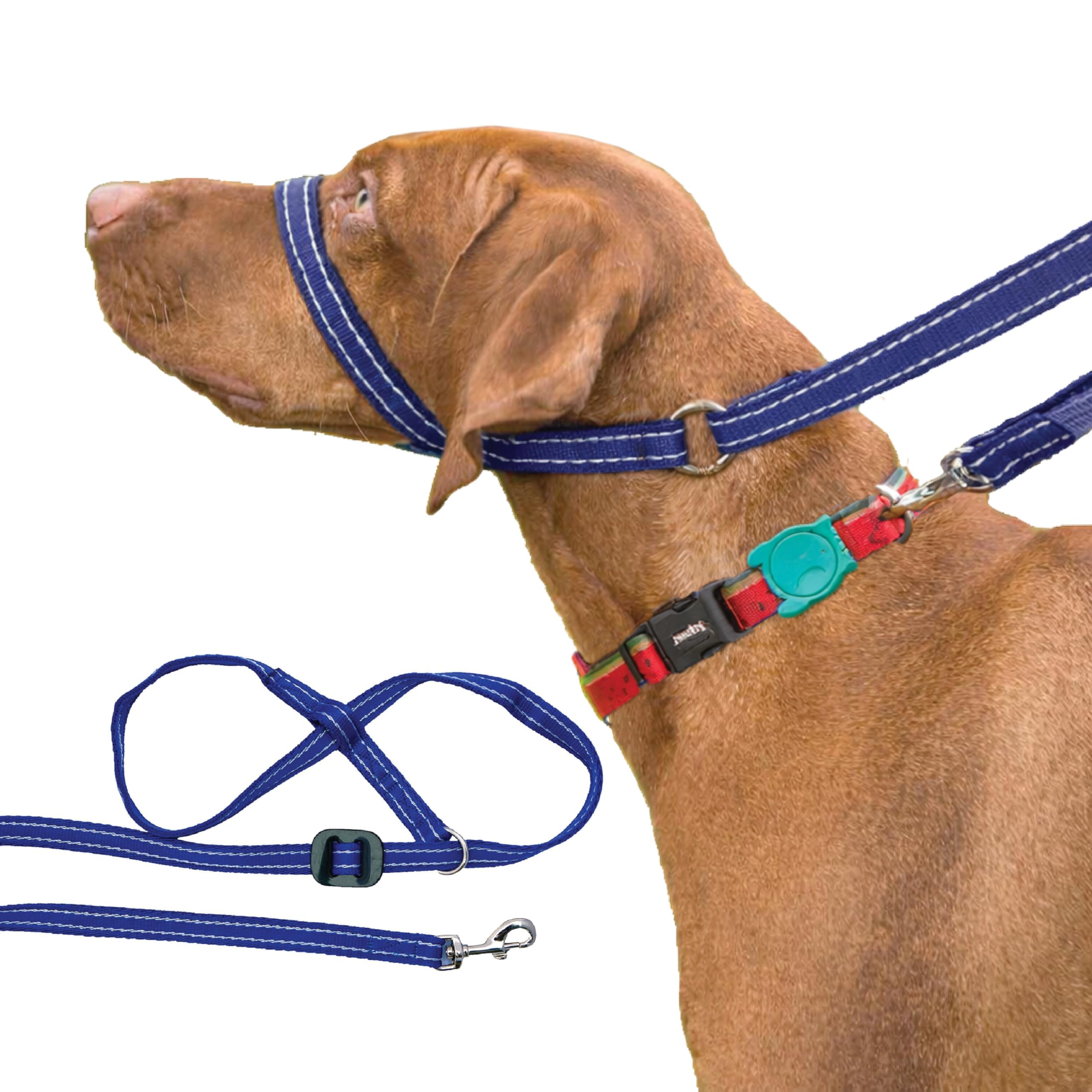 Gencon - Clip-to-Collar Dog Headcollar and Lead - Trainer Approved - One Size Dog Training & Behaviour Aid - Soft & Gentle Design with Trigger Clip - Left - Made in Britain - Blue/White โ image 1