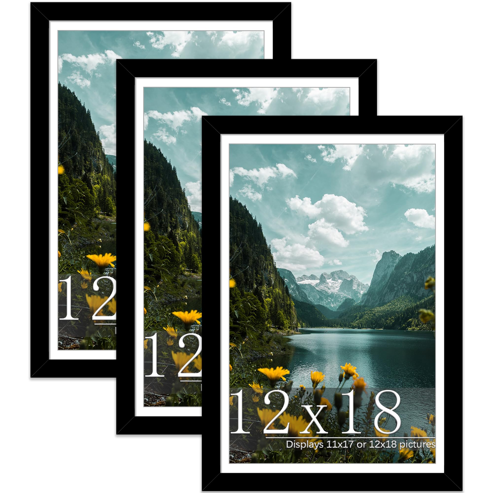 Photo 1 of Picrit 12x18 Picture Frame 3 Pack, Black Poster Frame, Display Poster 11 x 17 with Mat or 12 x 18 without Mat for Horizontal or Vertical Wall Mounting