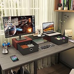 WESTREE Dual Monitor Stand Riser with Two