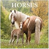 Official Horses 2022 Wall Calendar, September 2021 - December 2022 Monthly Planner (16 Months), 12" x 12", Square Wall Calend