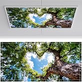 2pcs Fluorescent Light Covers for Ceiling Lights，2'x4' Magnetic Light Cover | Soften Fluorescent，Eliminate Harsh Glare and Eye Strain，Must Have for Classroom, Office, Hospitals, Home