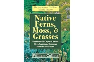 Native Ferns, Moss, and Grasses