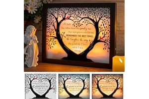 HN HAIINAA Sympathy Gift LED Memorial Shadow Box Memorial Gifts for Loss of Loved One Mother Mom Dad Father, in Memory of Loved One Gifts