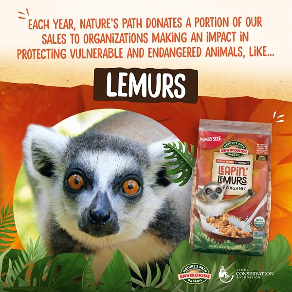 ENVIROKIDZ ORGANIC LEAPIN’ LEMURS CEREAL, 10 OZ (PACK OF 1), PEANUT BUTTER & CHOCOLATE, GLUTEN FREE, FAIR TRADE, BY NATURE’S PATH