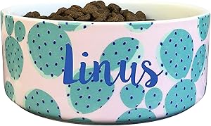 Should We Go? Dog Bowl: Customized, Personalized with Your Pet's Name. Heavy Ceramic Food & Water Dish You Can Monogram. Modern, (Cactus)