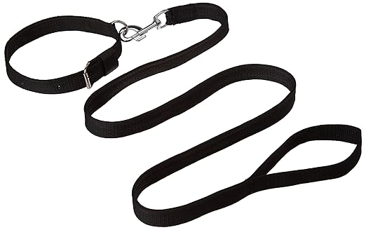 Choostix Dog Collar Set, Large (Color may vary)