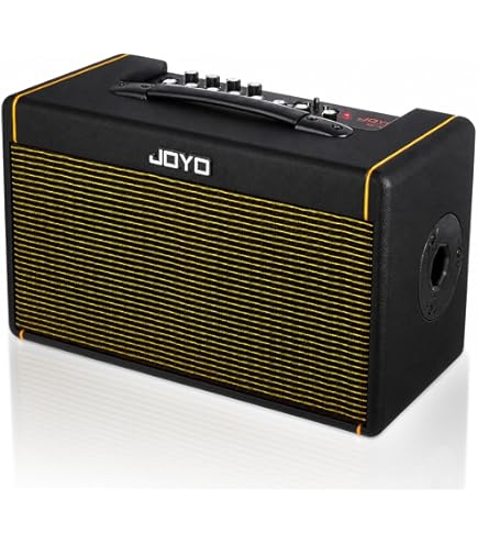 Amazon.com: Kustom Sienna Series 30-watt Acoustic Amplifier