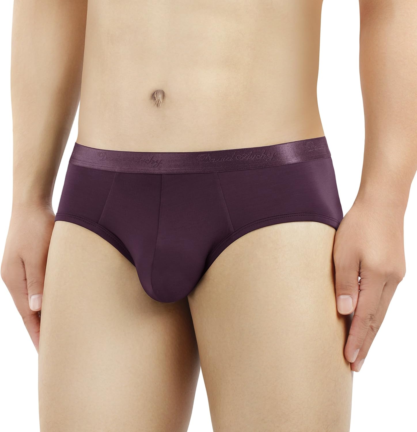 DAVID ARCHY Men's Underwear Micro Modal Ultra Soft Comfy Briefs 4 Pack: Clothing