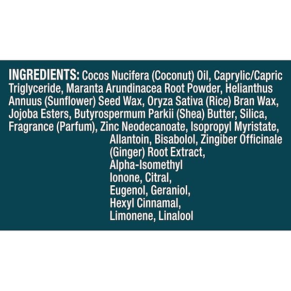DEGREE MEN WHOLE BODY DEODORANT STICK, OCEAN RUSH SCENT, GLIDES ON CLEAR + ABSORBS SWEAT, ALUMINUM FREE 72H ODOR PROTECTION 3 OZ