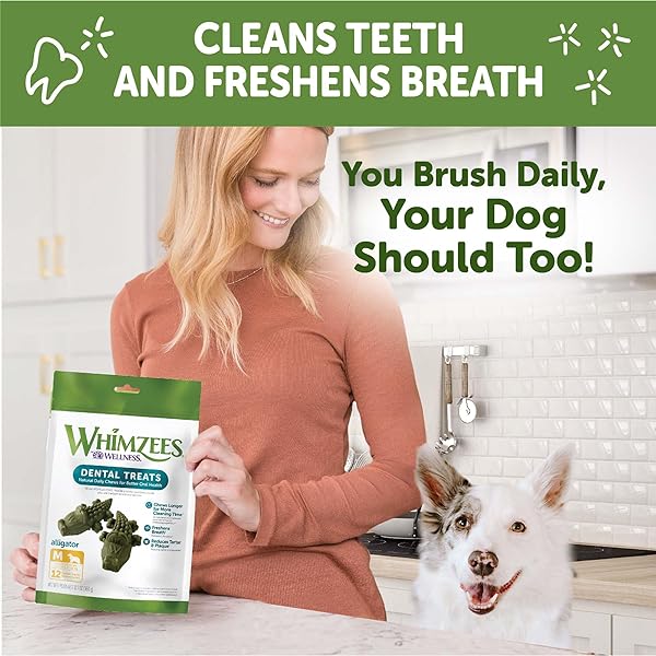 WHIMZEES WELLNESS ALLIGATOR DOG DENTAL TREATS, NATURAL CHEWS, MEDIUM SIZE, (12 COUNT)