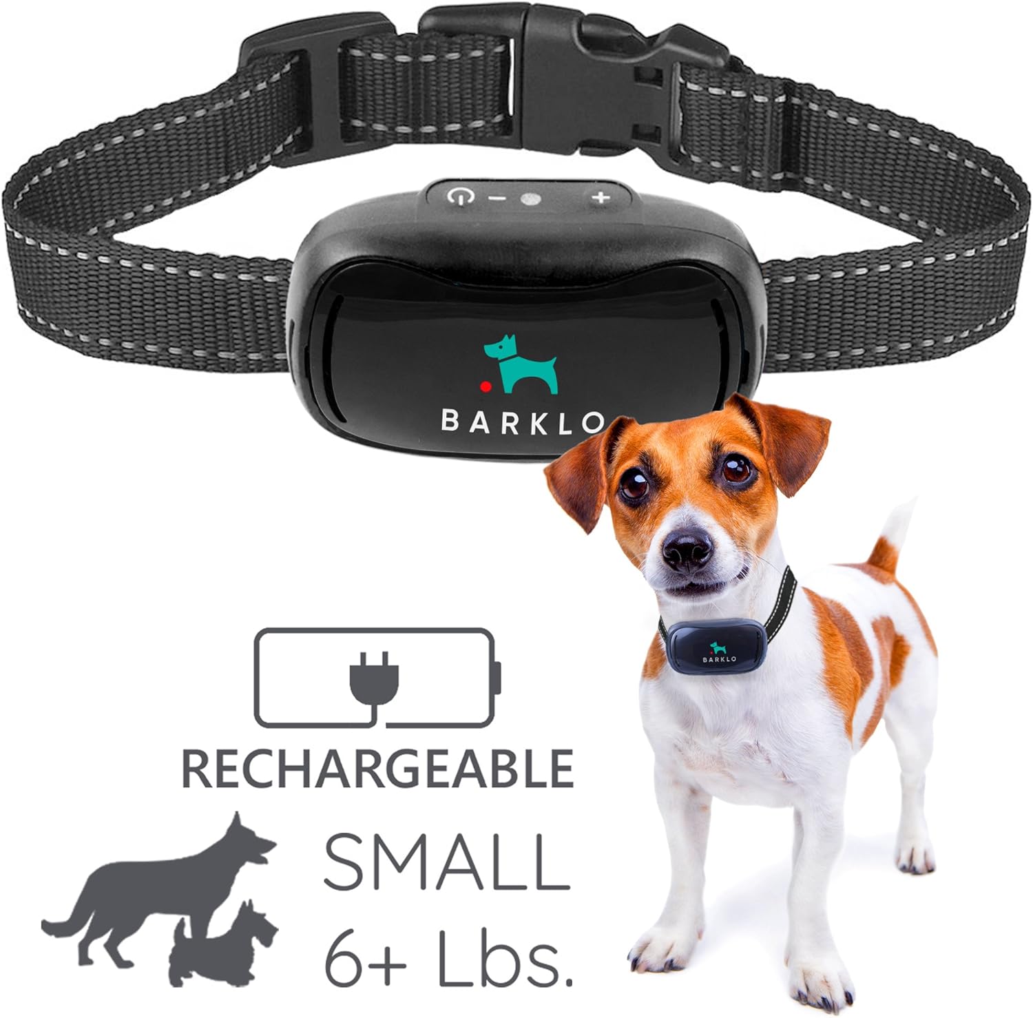 homeopathic mange treatment