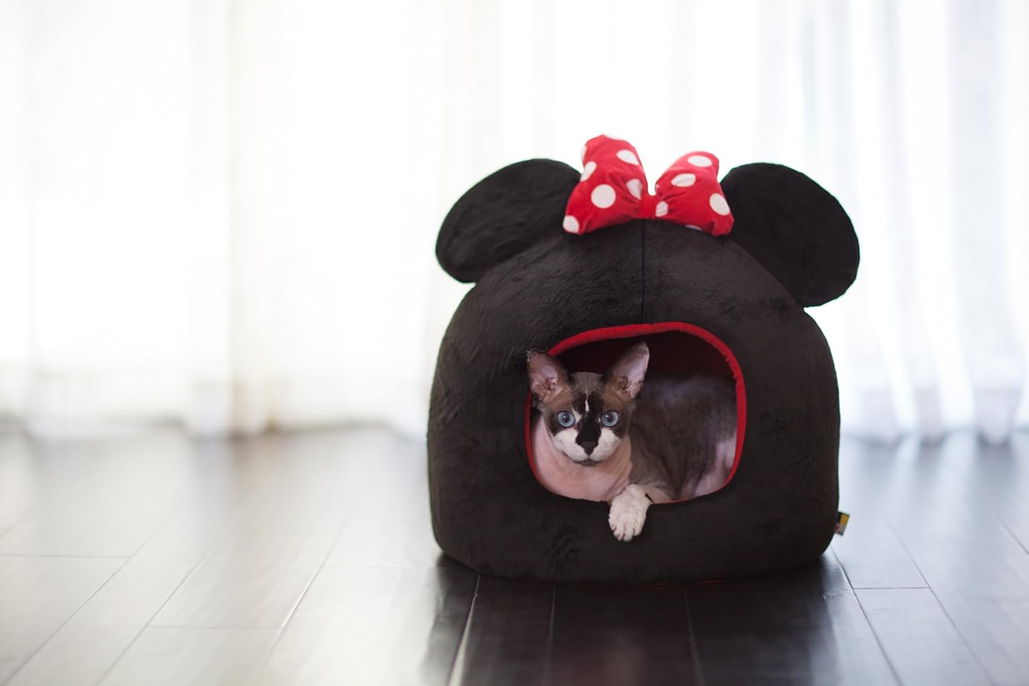minnie mouse dog house