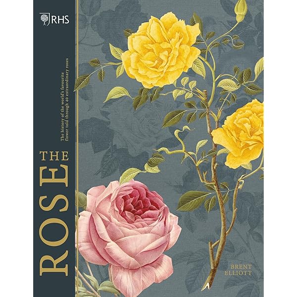 洋書】THE ROSE UNFOLDS 洋書】THE ROSE UNFOLDS Book : The