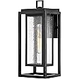 Hinkley Republic Medium Wall Mount Outdoor Lantern, LED Included, Composite, Clear Seedy Glass Panes, Anti-Fading Finish, Bla