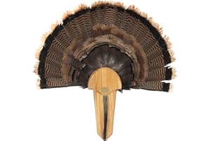 EZ Mount Exhibition Turkey Tail MOUNTING KIT, Hardwood