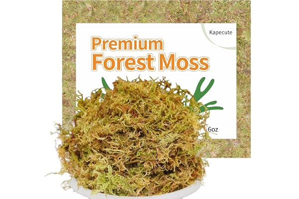 Kapecute 6oz Natural Forest Moss for Potted Plants, Good Orchid Potting Mix, Perfect for Reptile Terrarium Bedding, Indoor an