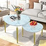 Jesantab Oval Nesting Coffee Table Set of 2, White