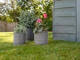 Ronseal Fencelife Plus Sage 5L Wood Protection 5 Year All Weather Shed Fence view 2