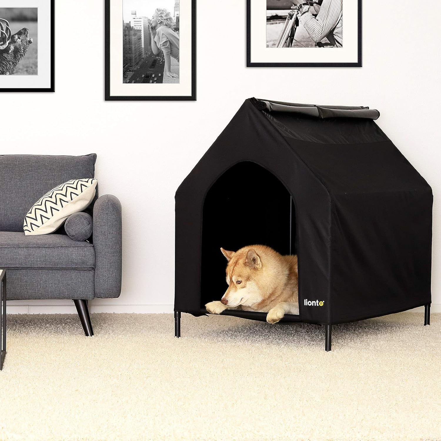 lionto Dog Blanket Raised Bed for Dogs Bed for Dogs with Black Roof (M) 110 x 75 x 105 cm, (M) 110x75x105 cm - Image 4