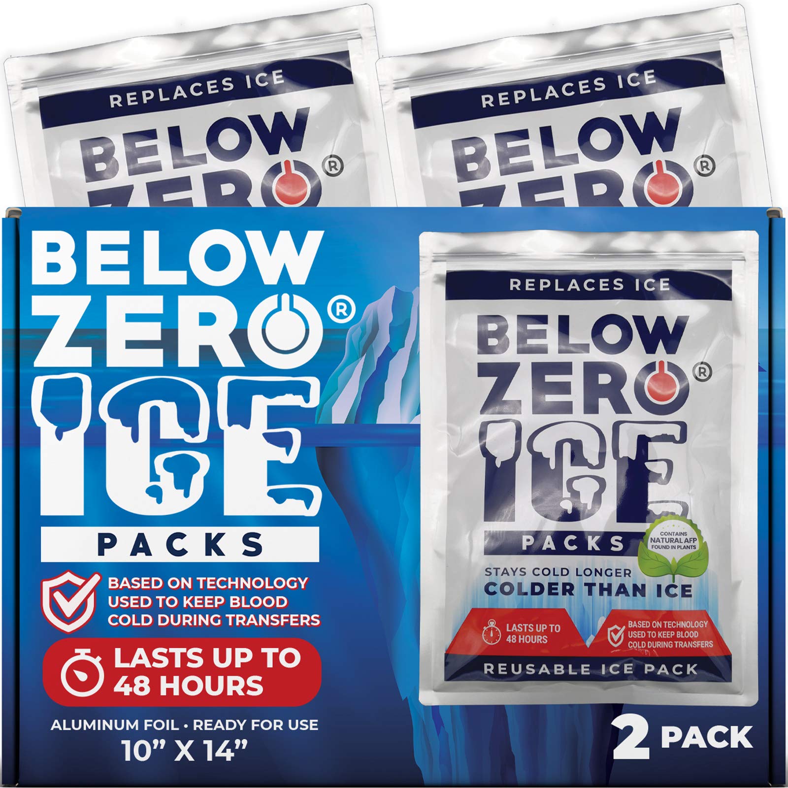 Buy Below Zero Jumbo Size Reusable Ice Packs for Large Coolers and