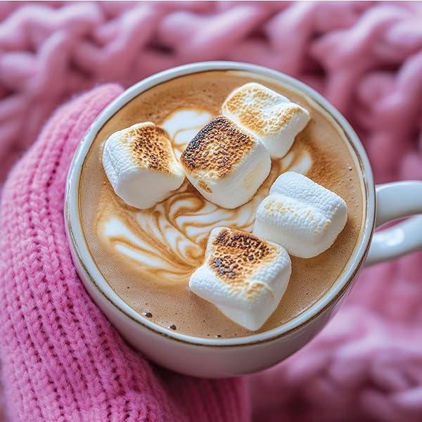 JORDAN’S SKINNY SYRUPS SUGAR FREE COFFEE SYRUP, TOASTED MARSHMALLOW FLAVOR DRINK MIX, ZERO CALORIE FLAVORING FOR CHAI LATTE, PROTEIN SHAKE, FOOD & MORE, GLUTEN FREE, KETO FRIENDLY, 25.4 FL OZ, 1 PACK