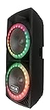 Edison Professional Dual 15" Party Speaker System