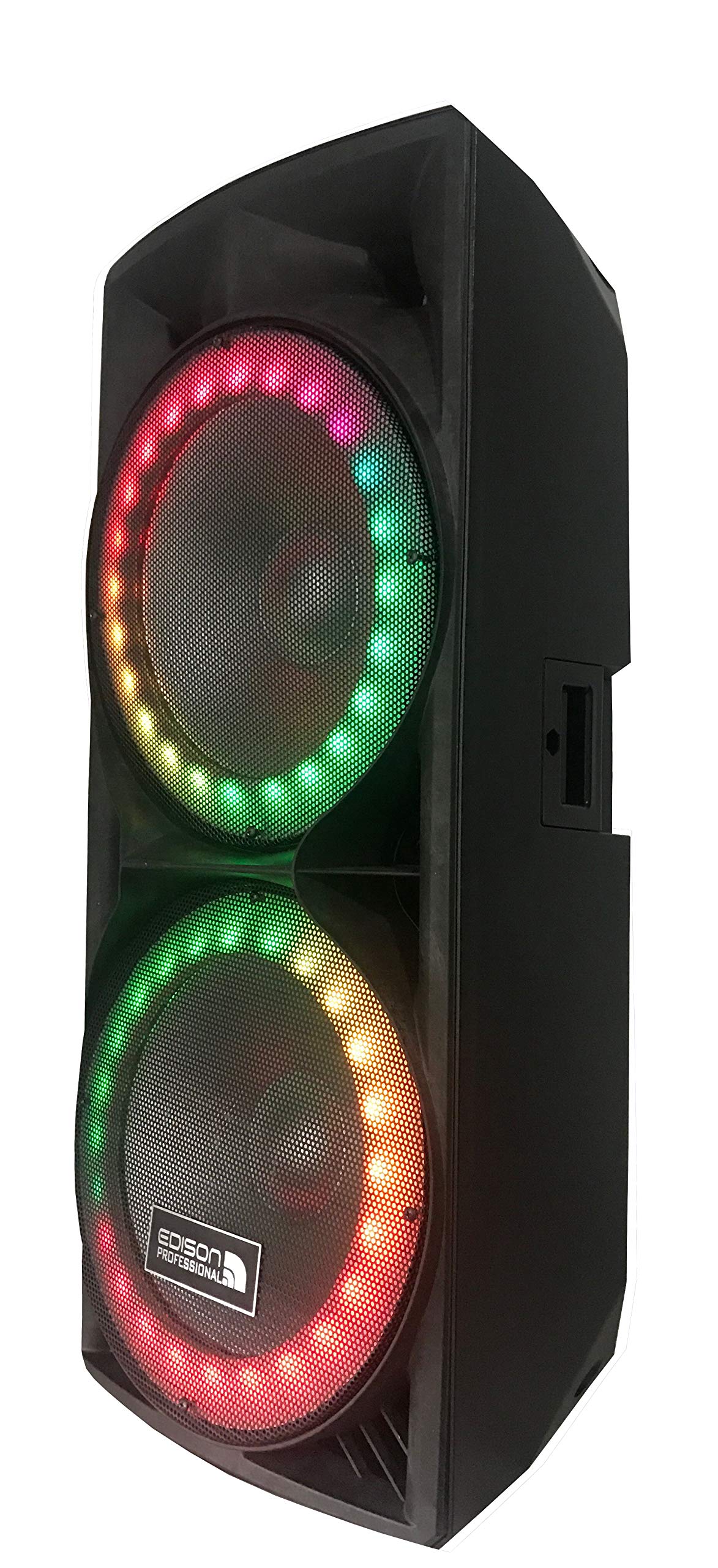 Edison Professional Dual 15" Party Speaker System